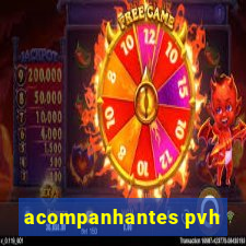 acompanhantes pvh